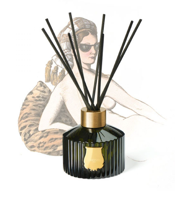Le Diffuseur- Odalisque